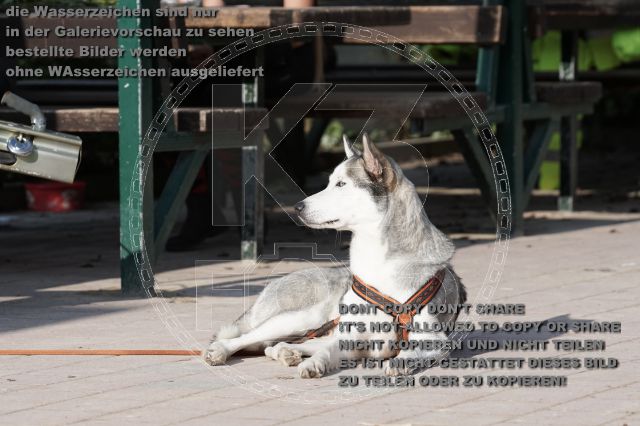 a_DSC06032.JPG